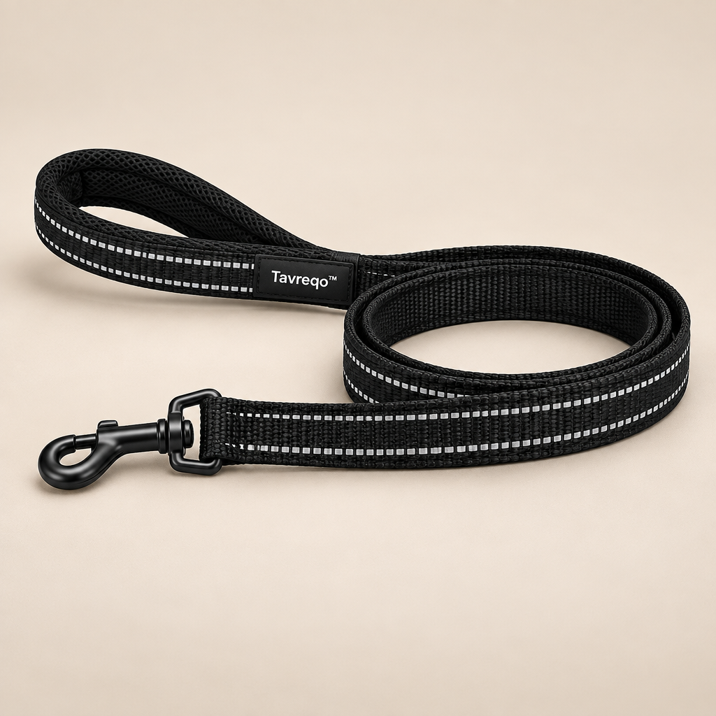 Tavreqo™ Reflective Night Pet Leash hero