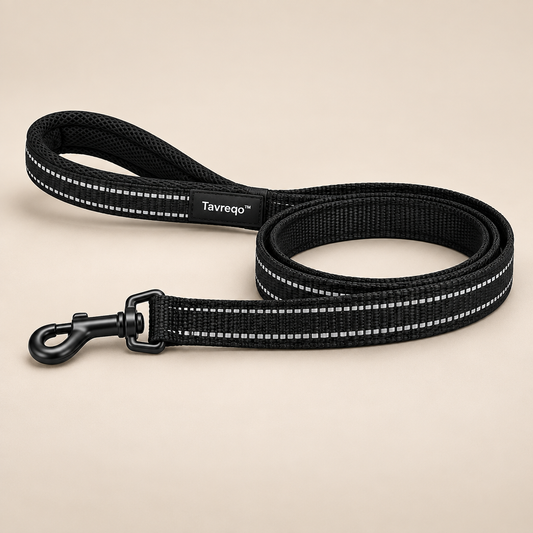 Tavreqo™ Reflective Night Pet Leash hero
